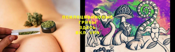 меф Алексин