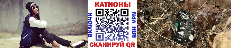 KRAKEN зеркало  Сясьстрой  МЕФ мука 
